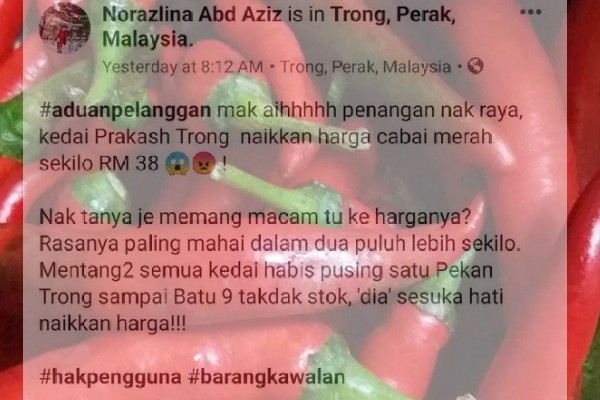 20190605-harga-cili-norazlina