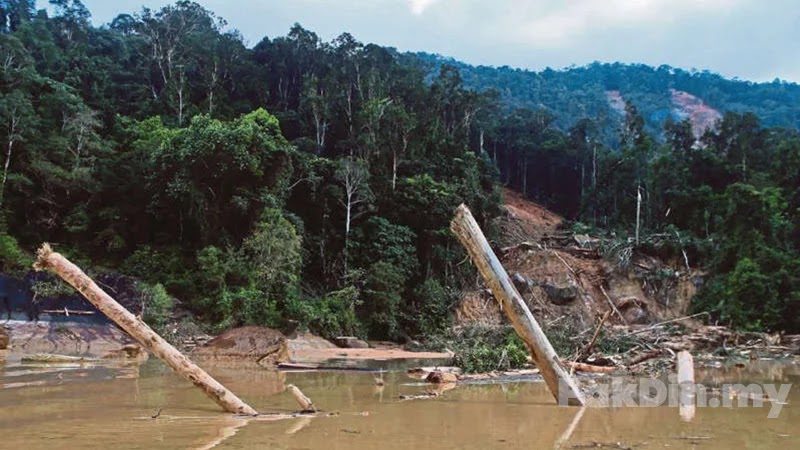 [Video] Pembalakan punca runtuhan tanah di struktur empangan Kenyir